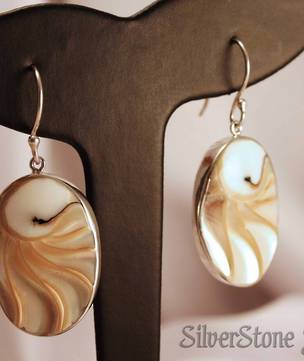 Nautilus Shell Silver Earrings
