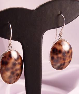 Sterling Silver Cowrie Shell Earrings