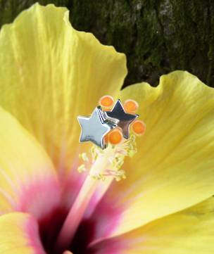 Sterling silver star stud earrings